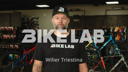 Wilier Triestina Rave SLR (54cm) Carbon Disc Frameset